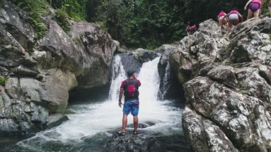 best El Yunque Rainforest tours