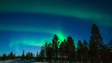 Best Yellowknife Northern Lights Tours