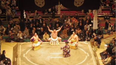 Best Tokyo Sumo Tournament Experiences