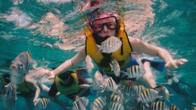 Best Snorkeling Tours In Key West