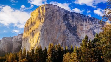 Best Yosemite Tours From San Francisco
